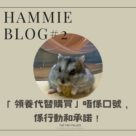 「領養代替購買」唔係口號,係行動和承諾!