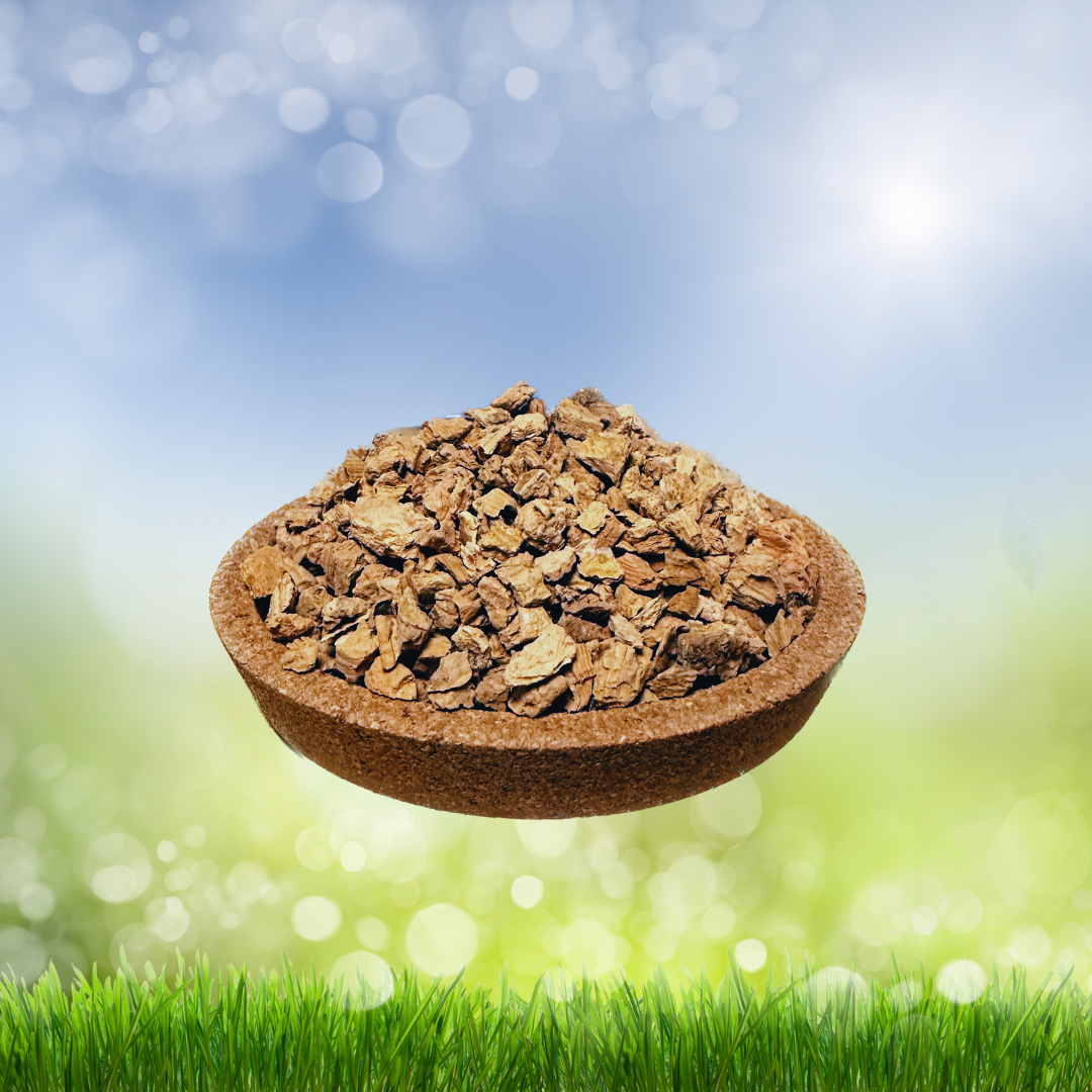 【只限實體店發售】分裝橡木軟木粒(大顆粒)〈豐容造景適用〉