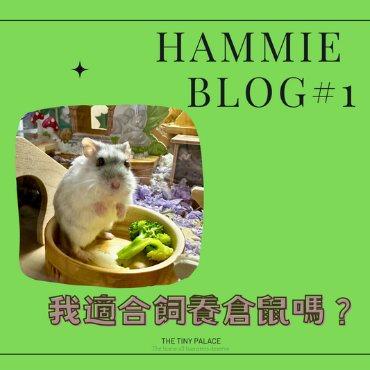 我適合飼養倉鼠嗎？